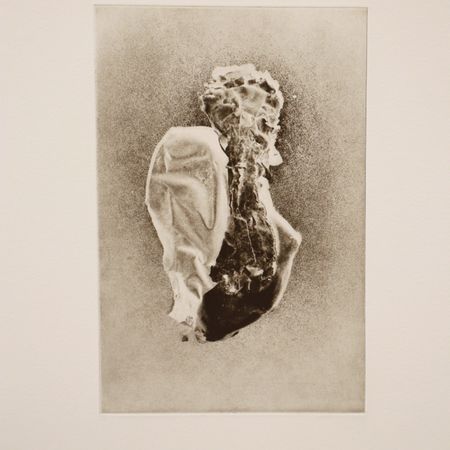Ursle Schneider