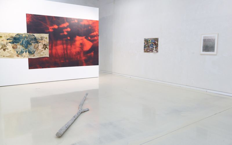 Christophe Bregnard / Naara Bahler / Liza Vadénoff / Philémon Léchot