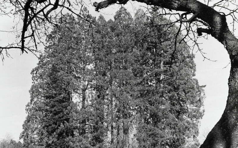© J. Bélat