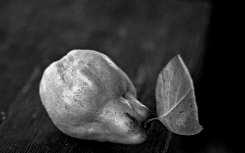 © J. Bélat