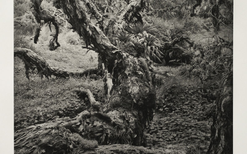 © Guido Baselgia
